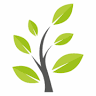 The Olive Tree Nursery