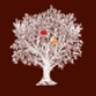 The Orchard Dispensary