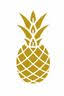 The Pineapple Group