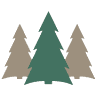 The Pines of Kabetogama