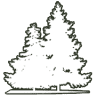 The Pines