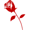 The Rose Cafe