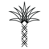 The Salty Palm