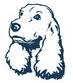 The Spaniel's Tale Bookstore