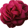 The Sugarcane Floral Design & Gifts