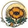 The Summer Moon