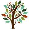Bear Branch Park