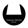 Thibault DELAEY Avocat - Themis Consult