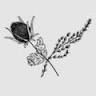 Thistle and Thyme