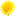 Thomaston Pediatrics