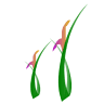 Thread Gardens