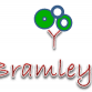 Three Bramley Apples