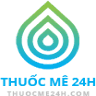 Thuốc Mê 24h