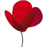 Coquelicot Flores