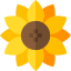 Floristería Drácena