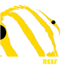 hookedonreef.es