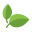 Santa Natura Huanta