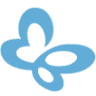 Store Solidarity Butterfly Skin