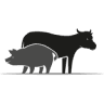Tierarztpraxis Bockhorn