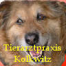 Tierärztliche Gemeinschaftspraxis Kolkwitz
