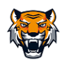 Tiger Demolition and Excavation team