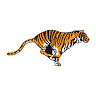 Tiger Fuel Company