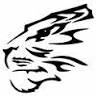 Tiger Martial Arts Fitness Academy