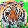 Tiger Massage OKC