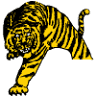 Tiger Tanks Offshore Rental