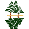 Timber Bay Resort