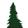 Tiny Timbers Gift Shop