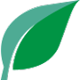 Title Policies