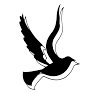 St. John Church | Transformation Ministries International
