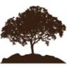 Parkstone Dental Clinic