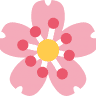 夜の森桜基準木