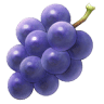 Tondre Wines LLC