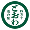 Shimanto River Zipline