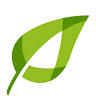 TORN HVAC SOLUTIONS LLC AIR CONDITIONING MITSUBISHI ELECTRIC