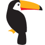 Toucan Display Systems