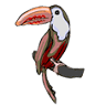 Toucan's Auto Repair