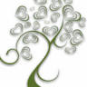 Touch To Heal Spa
