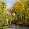 Linn Nature Park