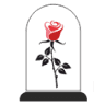 Trandafiri Criogenati in Cupola Sticla - Florarie Aranjamente Florale - Cadouri Personalizate Femei - Flori Criogenate Online