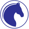Transitions Therapies West Performance Training and Physical Therapy