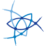 Transversal Solutions