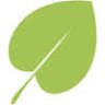 Jdsp Dental Limited