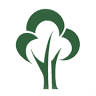 SMDC Trees Residences Tower 8
