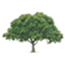 Tree Tops Caravan Park North Wales