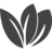 Três Pétalas - Comércio de Flores, Lda