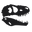 T-Rex Distillery